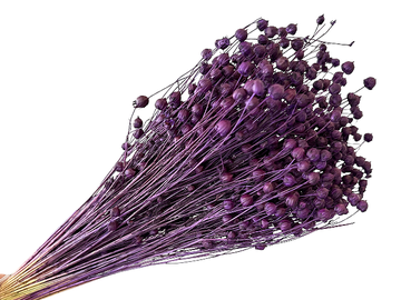 Sušený len - kytice cca 100g - tmavě fialový