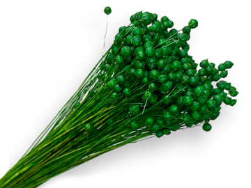 Sušený len - kytice cca 70g - trávově zelený