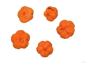 Sušený plod česnek 5ks - sytě oranžový
