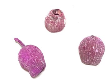 Sušený plod eukalypt kalich 3ks - vintage růžový