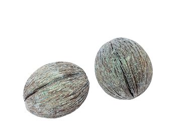 Sušený plod Mintola velká - perleťové glitry