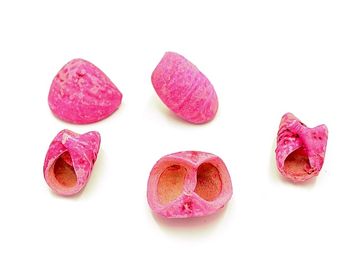 Sušený plod točený - Lali - jasný růžový