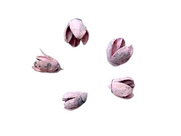 Sušina - plod Bakuli - 5ks - pastelový růžový